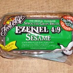 Ezekiel 1